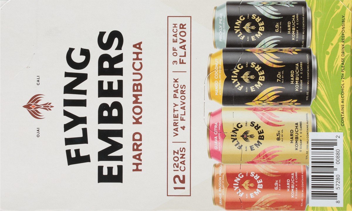 slide 6 of 9, Flying Embers Hard Kombucha Variety, 1 ct