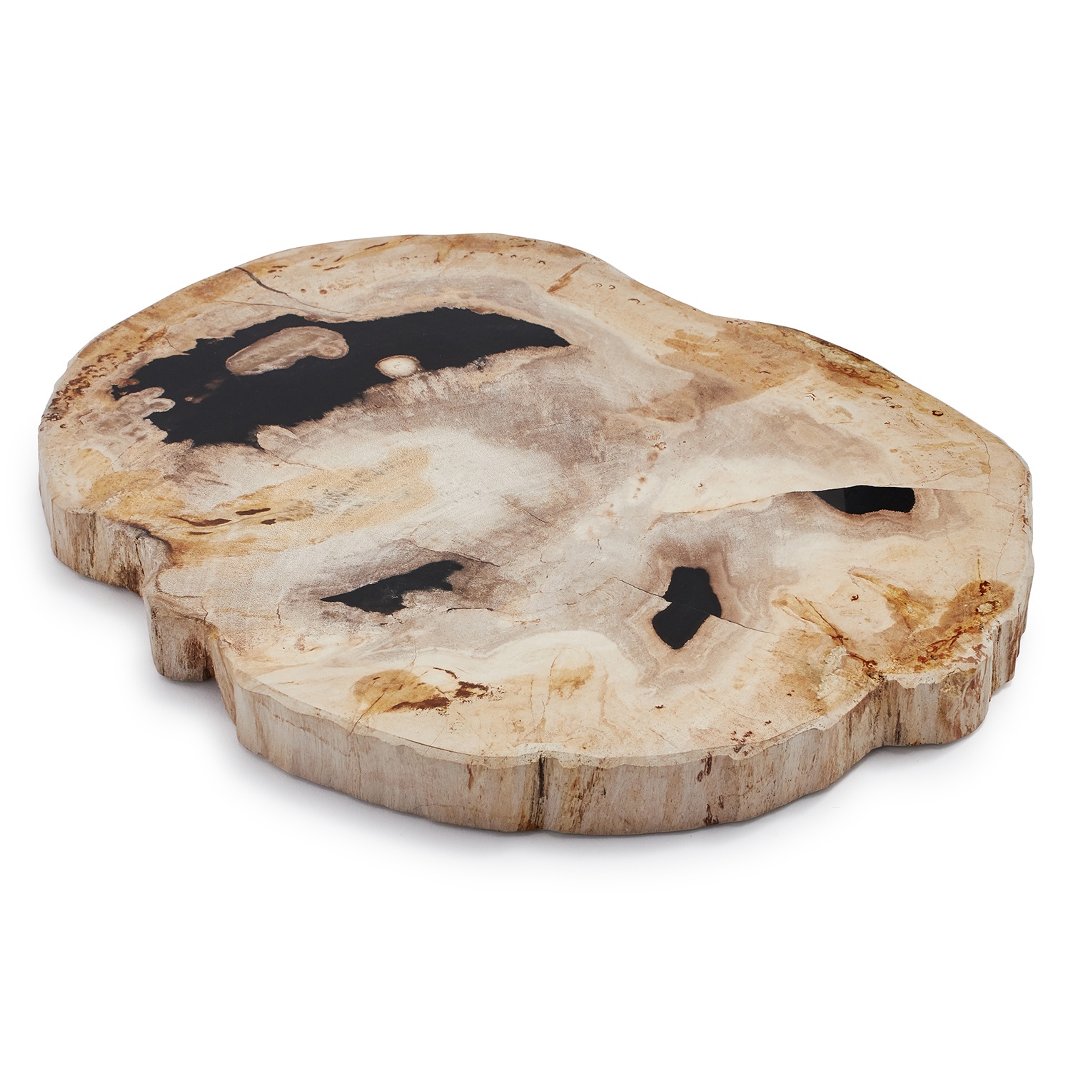 slide 1 of 1, Sur La Table Petrified Wood Cheese Board, 1 ct