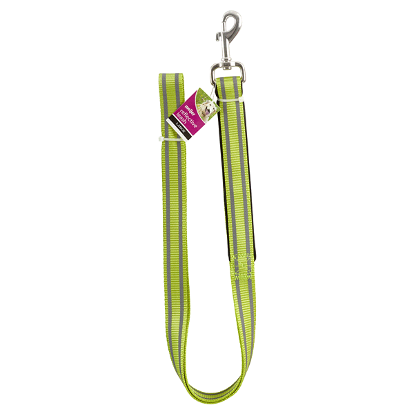 slide 1 of 1, Meijer Reflective Dog Leash, Green, Large, 1 ct