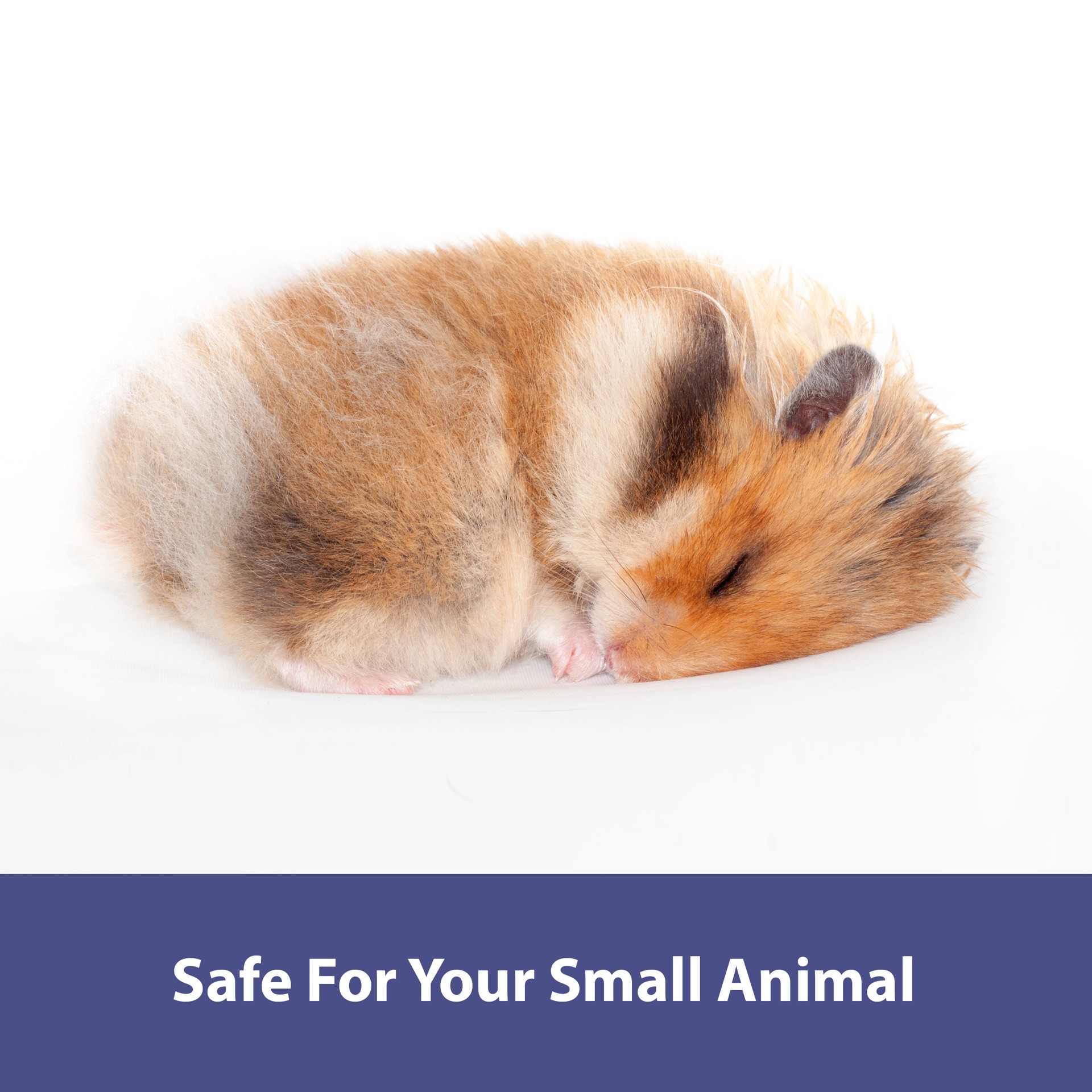 slide 5 of 9, Kaytee Pet Specialty Kaytee Clean & Cozy Natural Small Animal Pet Bedding 49.2 Liters, 1 ct