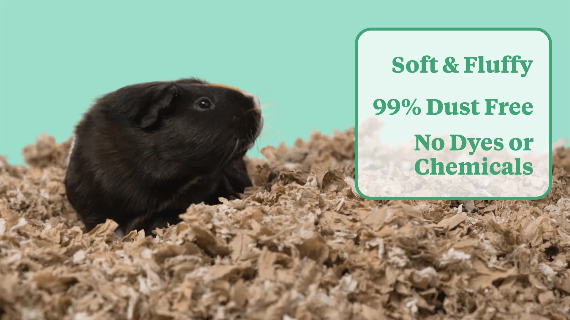 slide 6 of 9, Kaytee Pet Specialty Kaytee Clean & Cozy Natural Small Animal Pet Bedding 49.2 Liters, 1 ct