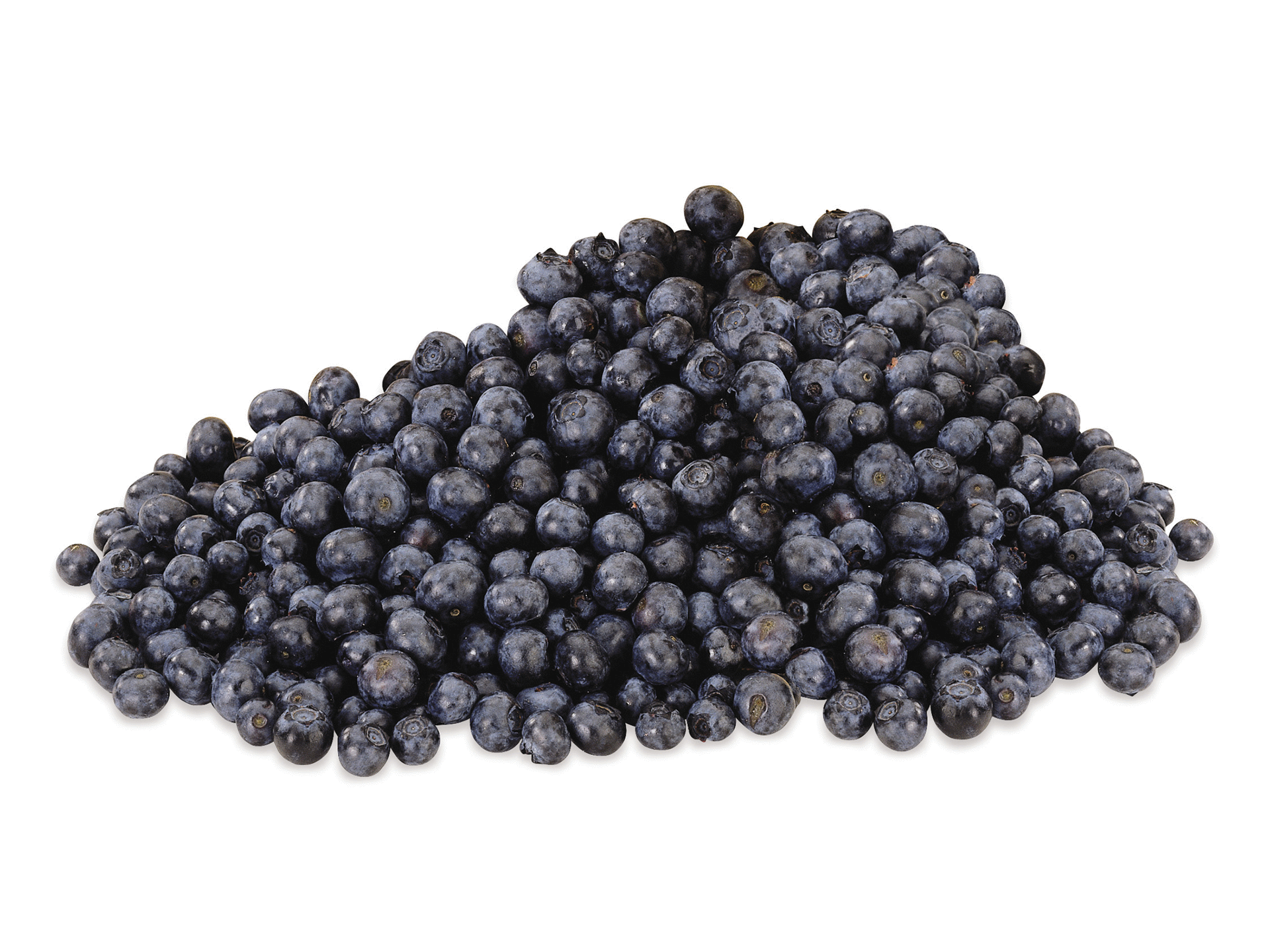 slide 1 of 1, Organic Blueberries, 6 oz