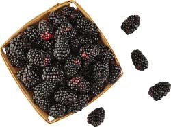 Driscoll's Blackberries