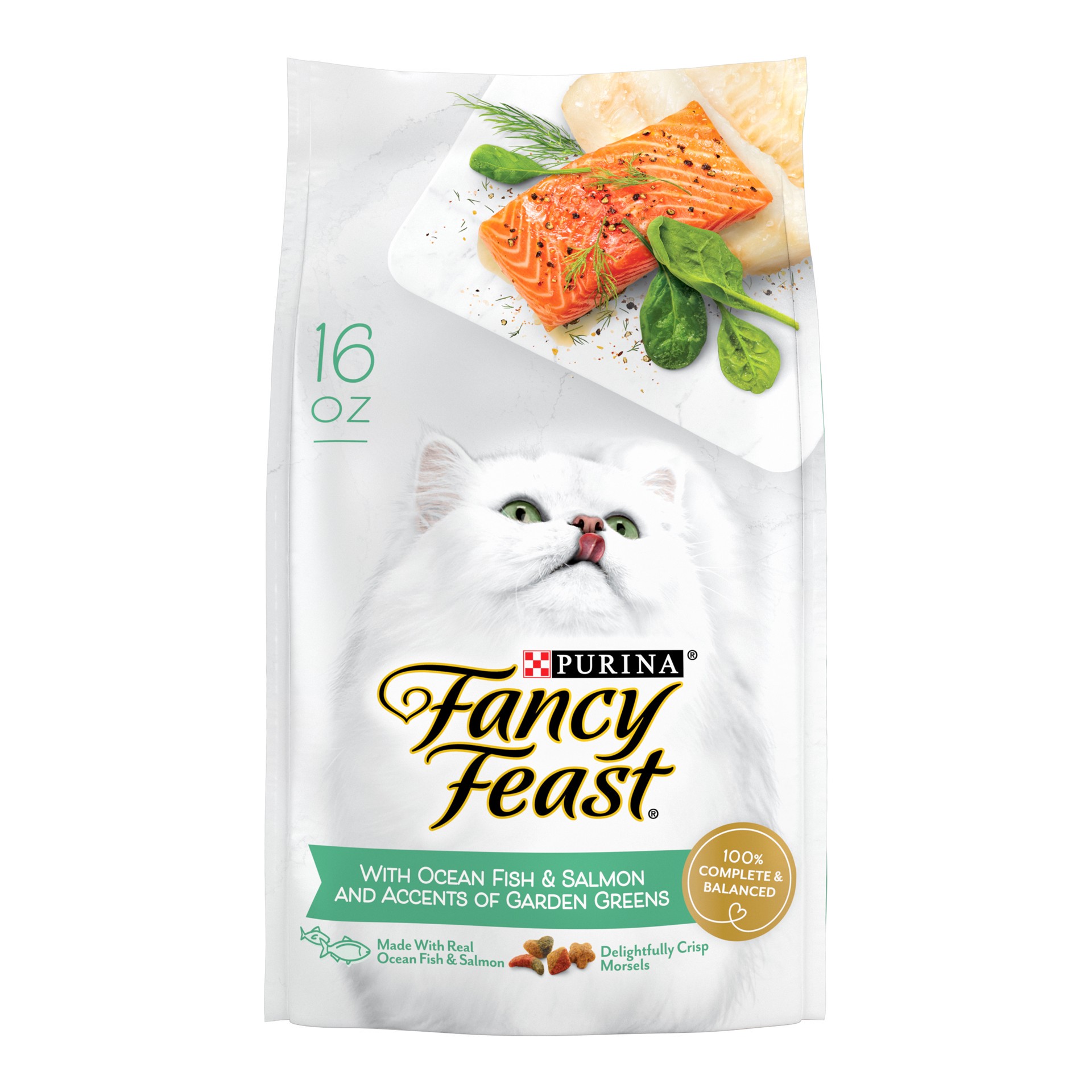 slide 1 of 9, Fancy Feast Purina Fancy Feast Dry Cat Food With Ocean Fish and Salmon, 16 oz