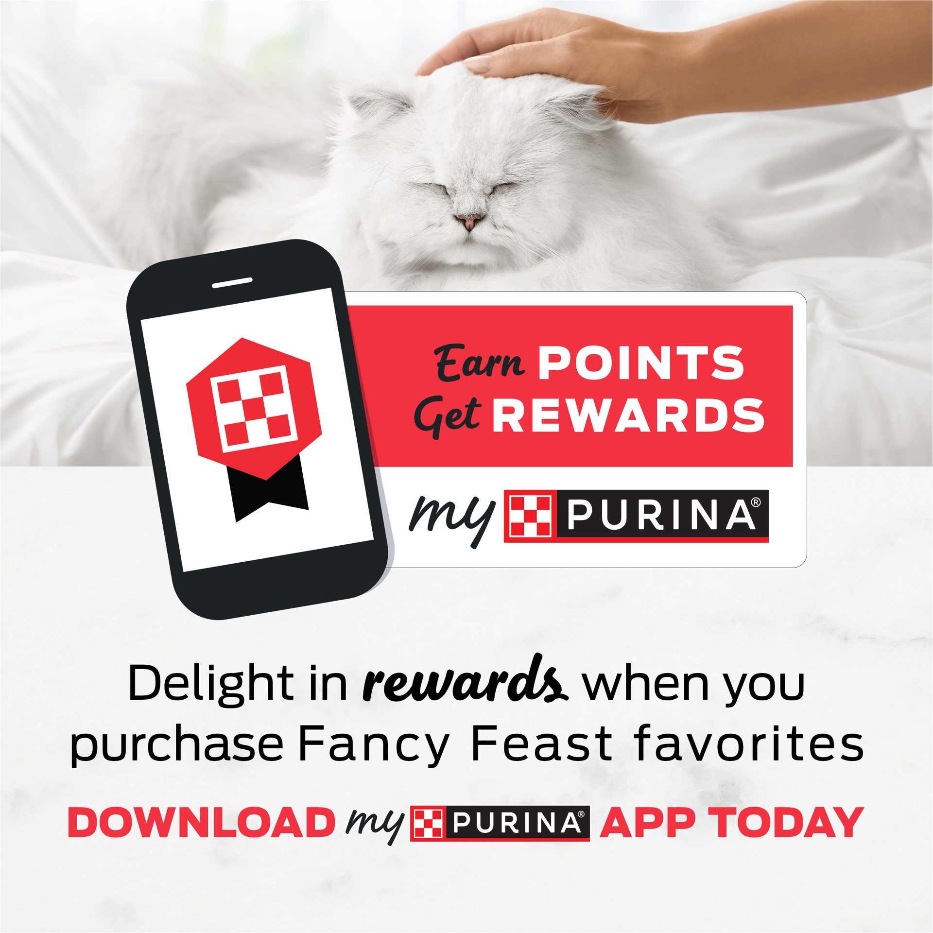 slide 8 of 9, Fancy Feast Purina Fancy Feast Dry Cat Food With Ocean Fish and Salmon, 16 oz