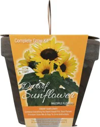 TotalGreen Total Green Sunflower Grow Kit