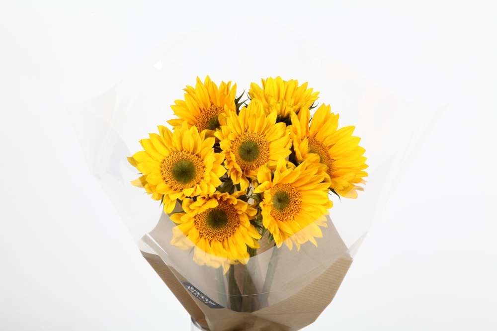 slide 1 of 1, Mini Sunflower Bouquet, 7 ct
