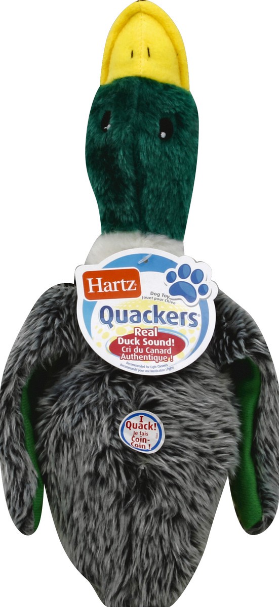 slide 2 of 2, Hartz Quackers Dog Toy, 1 ct