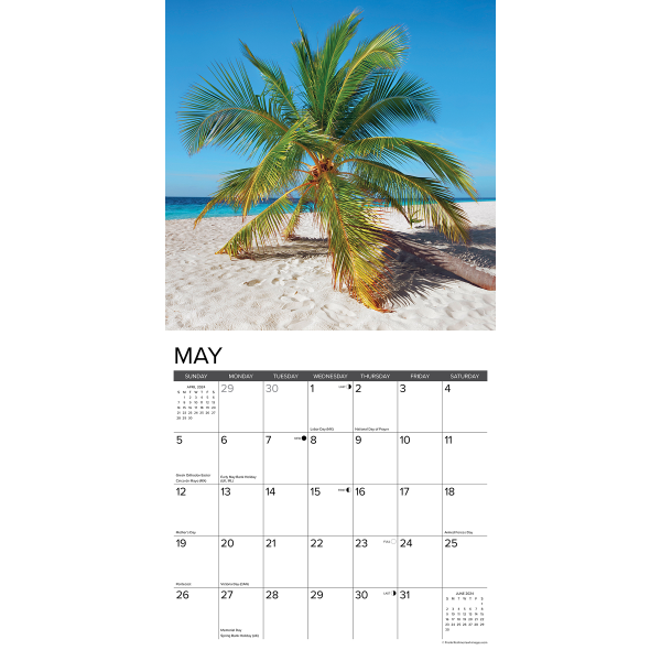 slide 3 of 5, Willow Creek Press 2024 Willow Creek Press Monthly Wall Calendars, 12"" X 12"", Beaches, January To December 2024, 1 ct