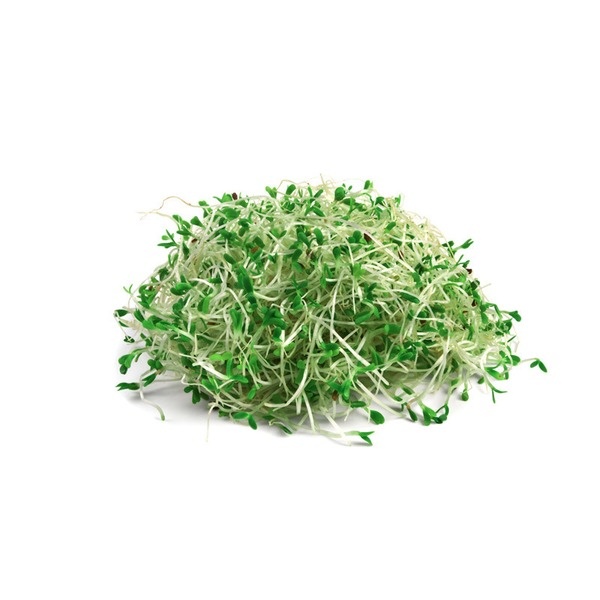 slide 1 of 1, Brocco Sprouts, 3 oz