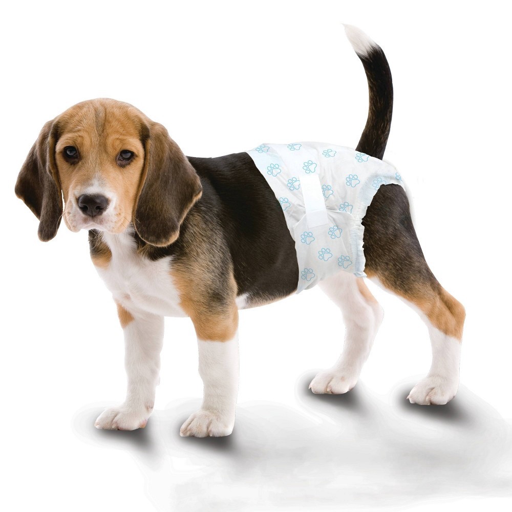 slide 2 of 3, Four Paws Wee-Wee Disposable Dog Diapers, 12 ct