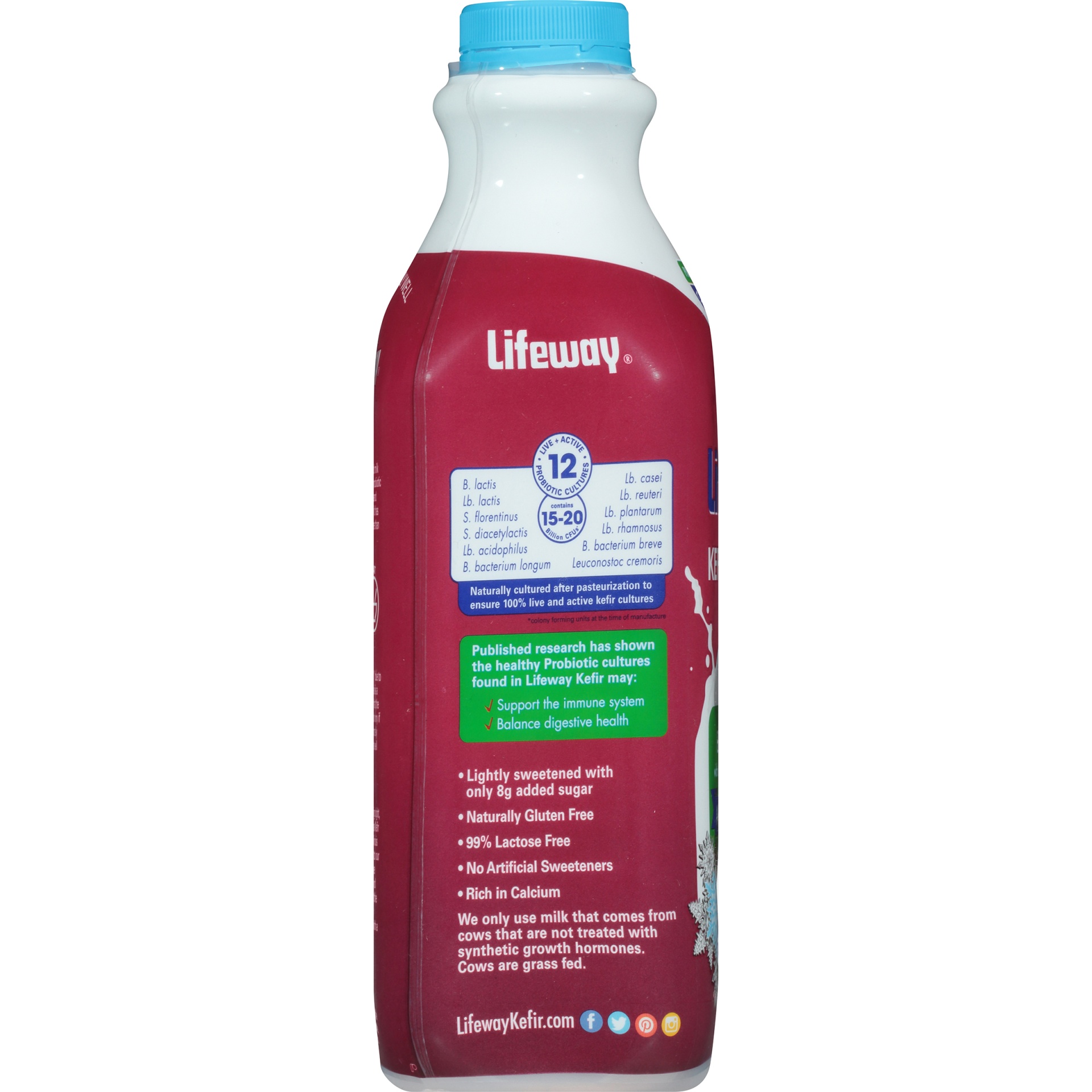 slide 4 of 8, Lifeway Kefir Cultured Lowfat Milk Smoothie Eggnog, 32 fl oz