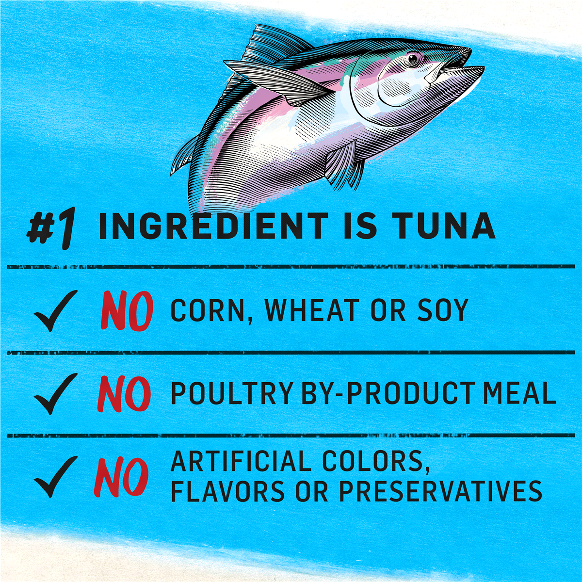 slide 8 of 8, Purina Beyond Grain Free Wild-caught Tuna & Egg Recipe Adult Dry Dog Food, 3 lb