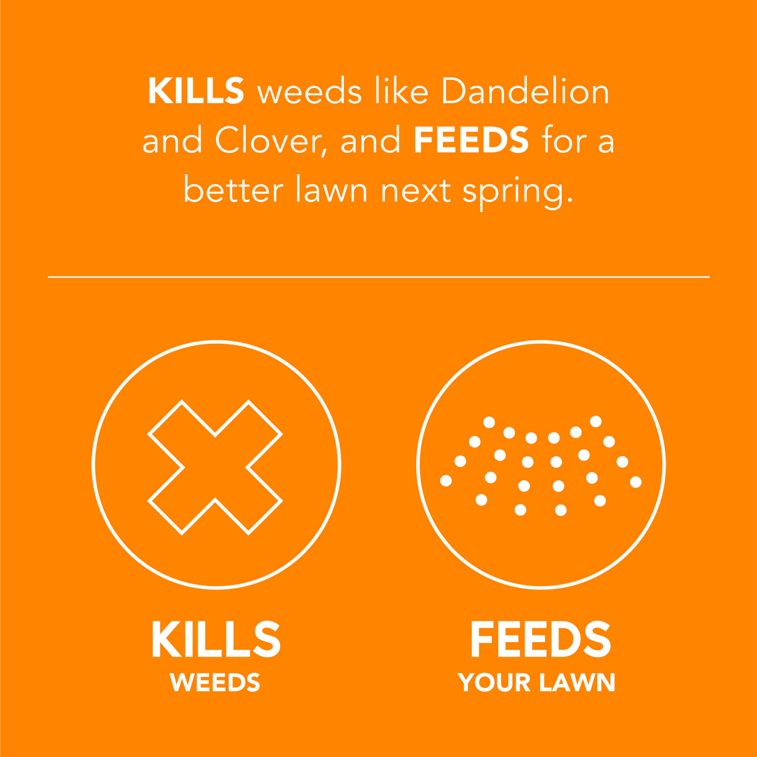 slide 2 of 3, Scotts Turf Builder WinterGuard Fall Weed & Feed 4M, 1 ct