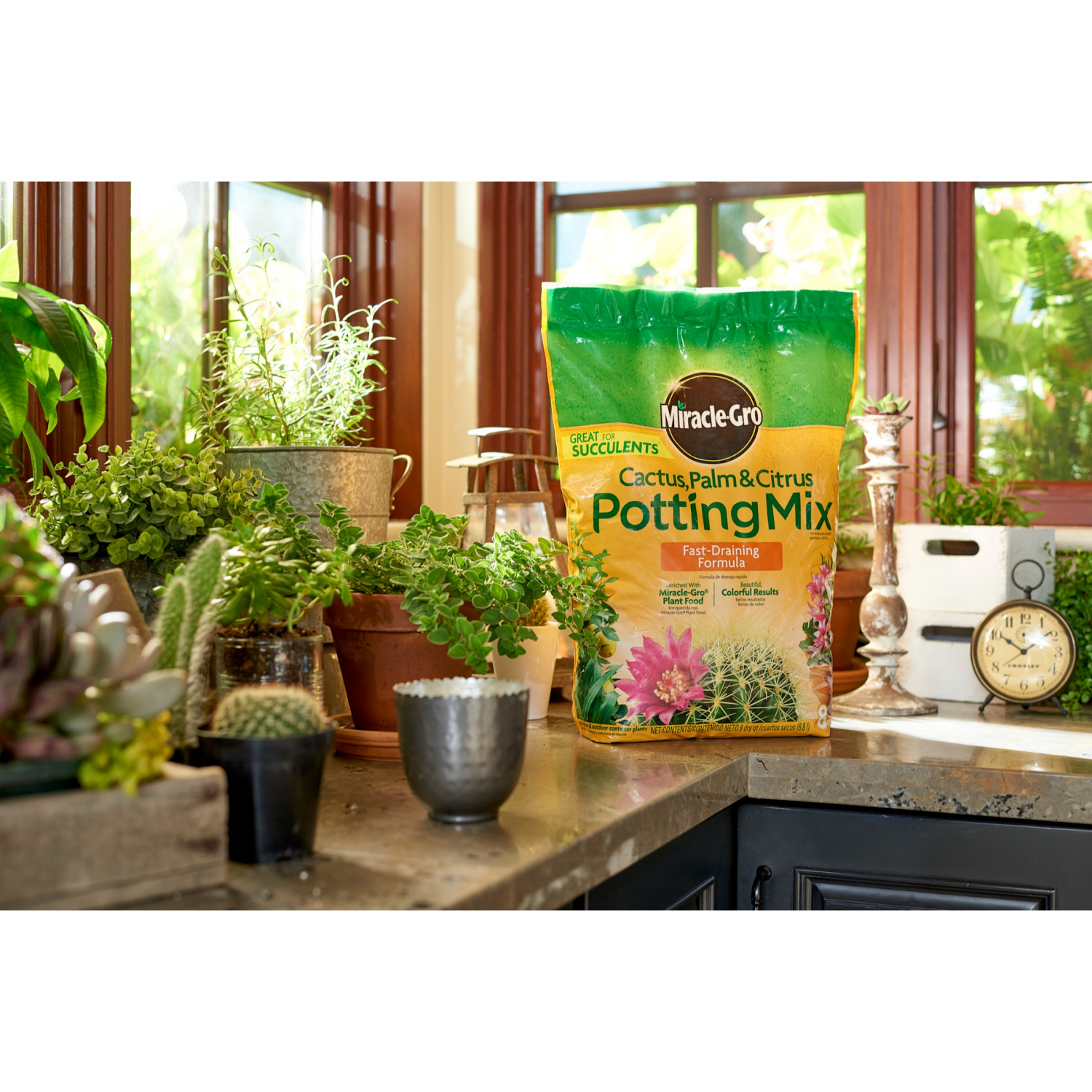 slide 5 of 6, Miracle Gro Miracle-Gro Indoor Potting Mix For Cactus And Succulent, 8 Qt., 8 qt