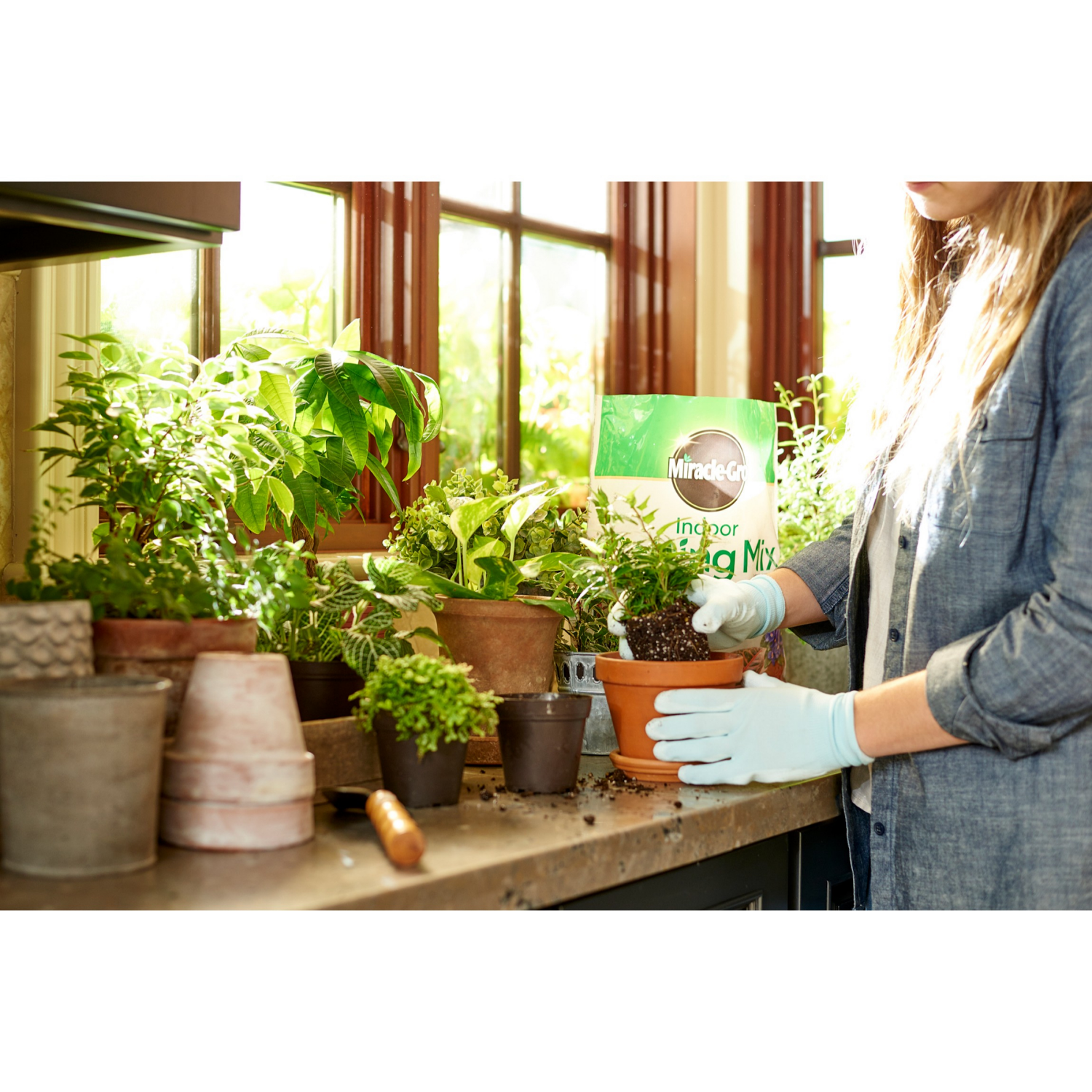 slide 5 of 6, Miracle Gro Miracle-Gro® Indoor Potting Mix 6 Quart, 6 qt