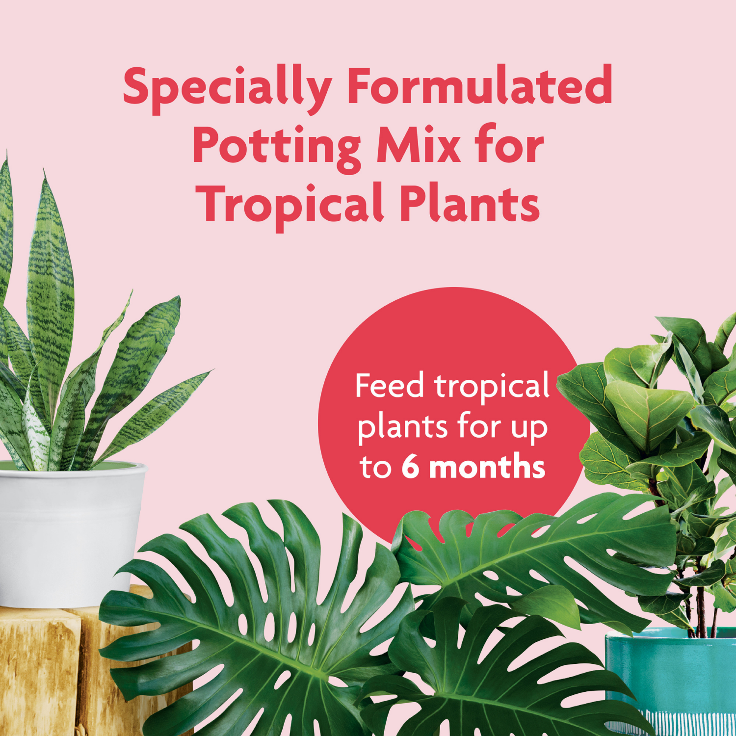 slide 5 of 6, Scotts Miracle-Gro Tropical Potting Mix, 6 Qt., 6 qt