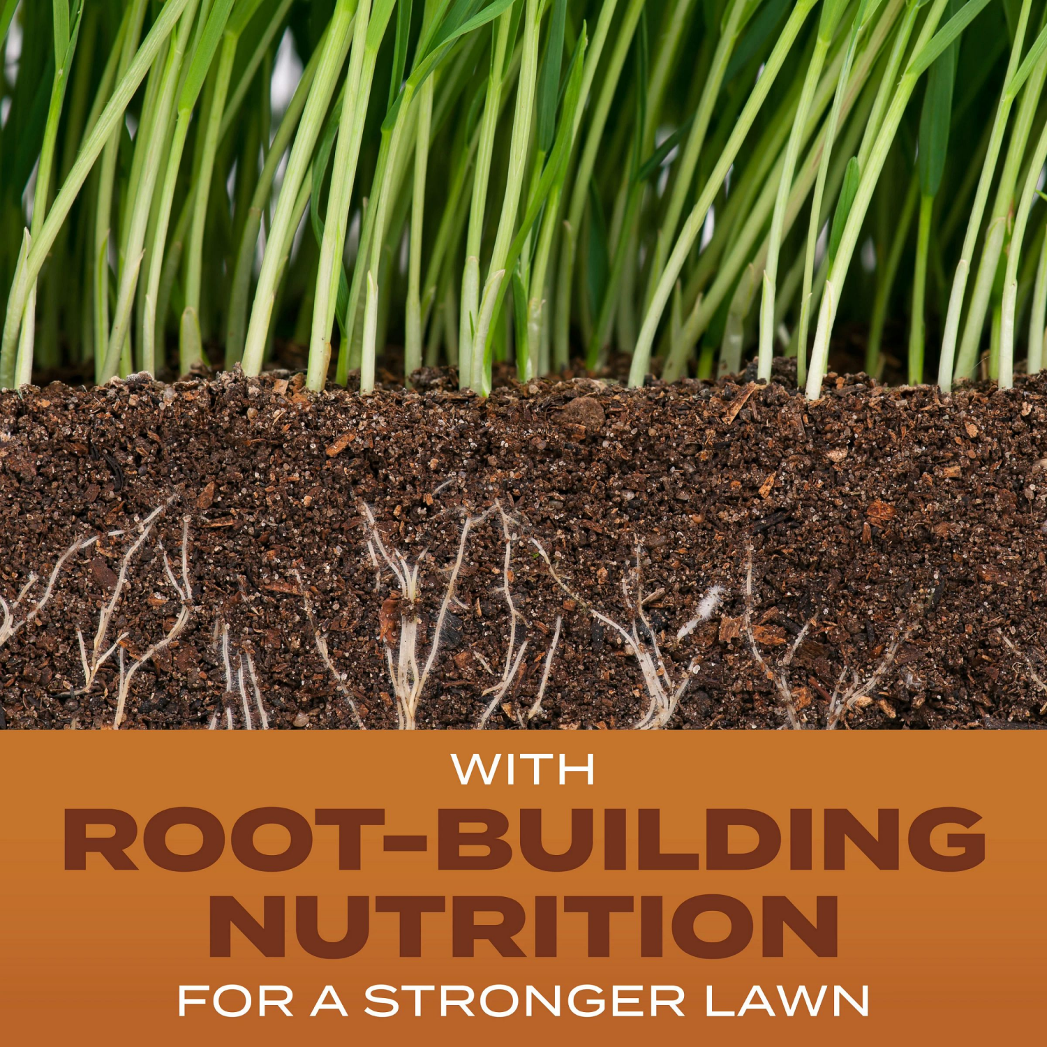 slide 6 of 6, Scotts Turf Builder Grass Seed High Traffic Mix, 2.4 lb