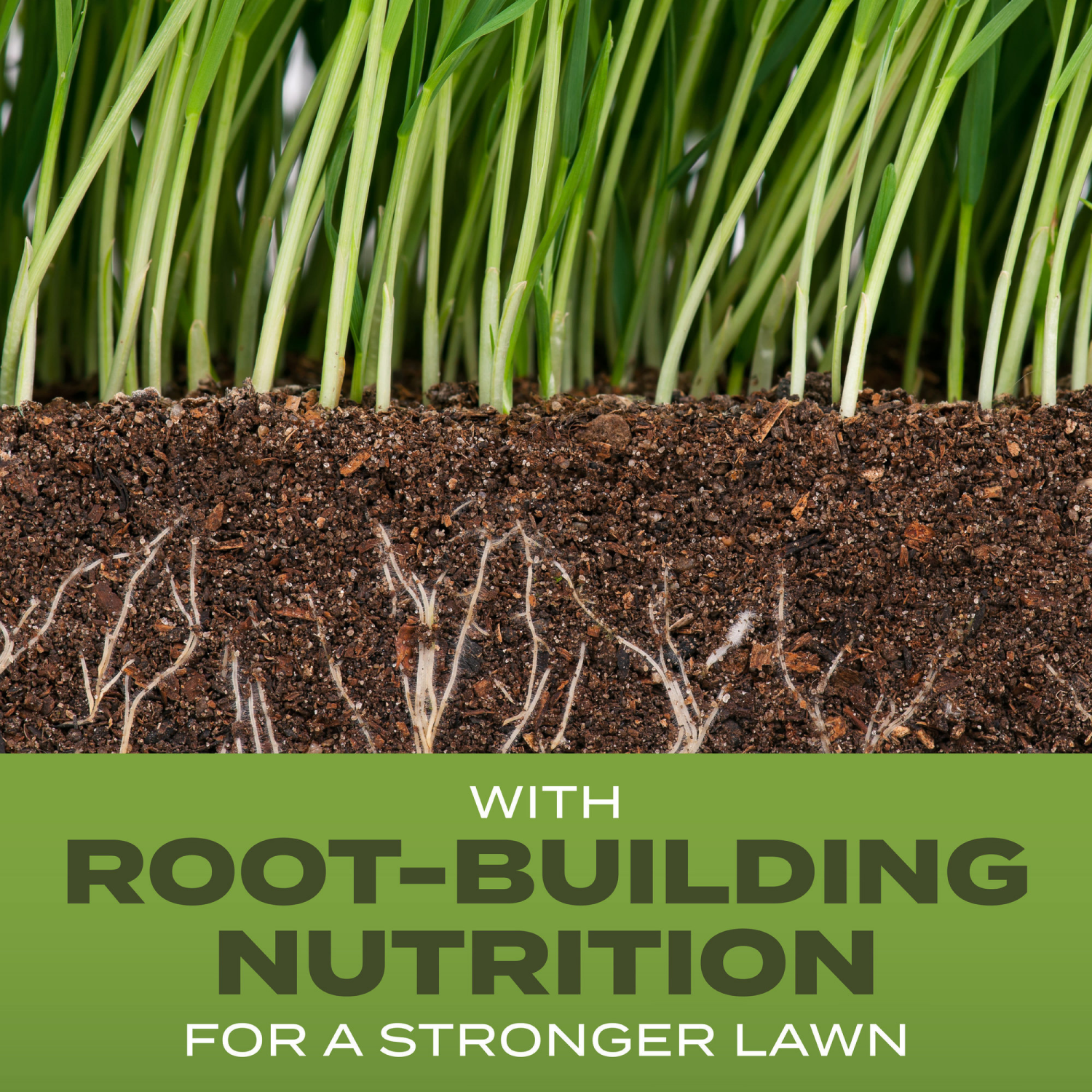 slide 4 of 5, Scotts Turf Builder Grass Seed Tall Fescue Mix 5.6 Lb, 5.6 lb