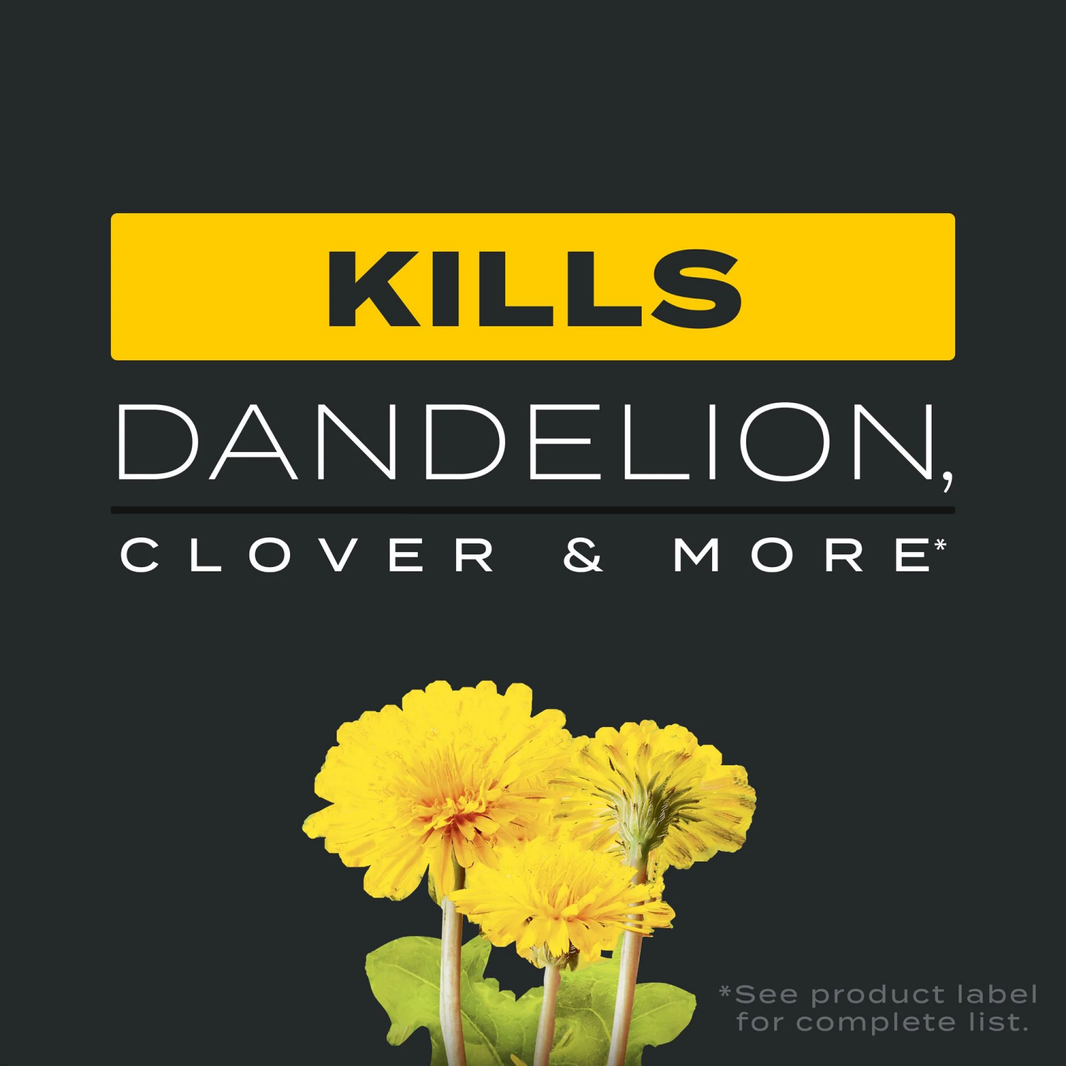 slide 5 of 6, Scotts Turf Builder Triple Action1, 12M, 1 ct