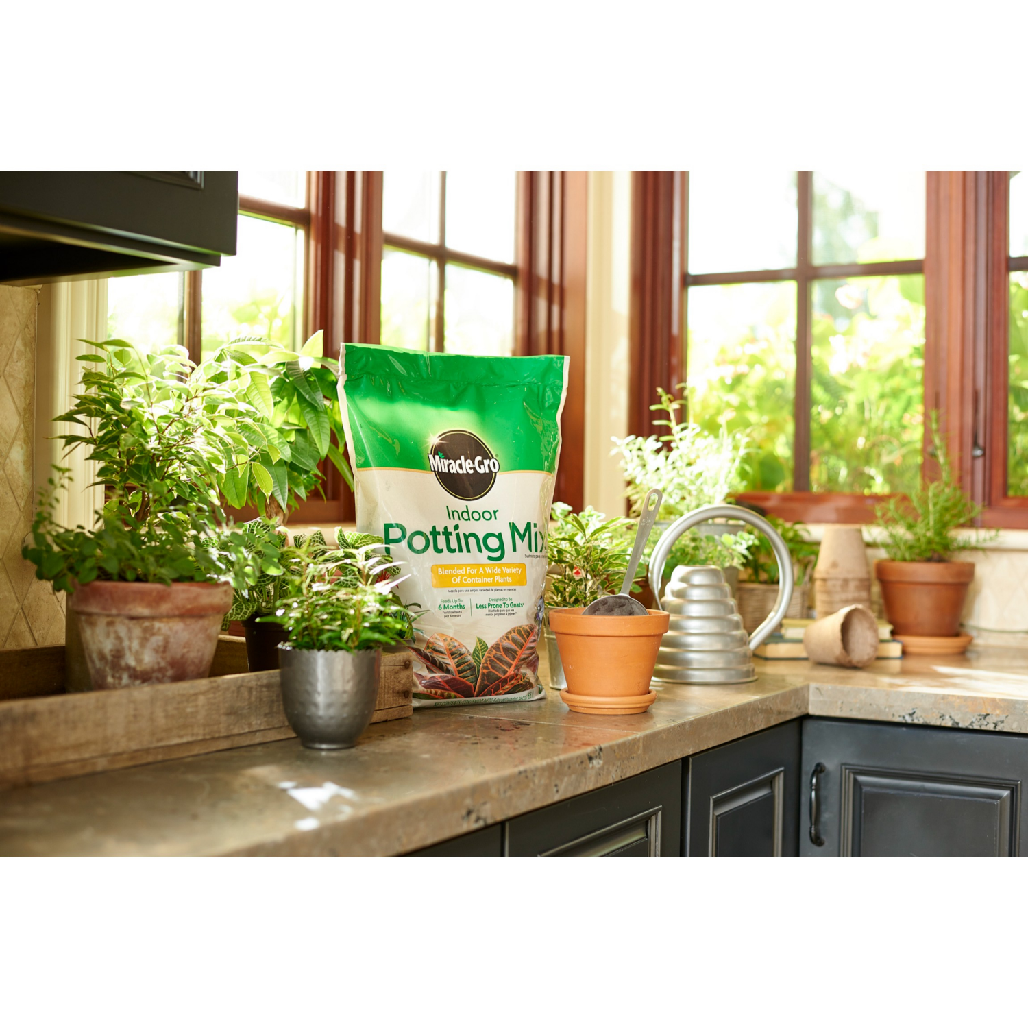 slide 4 of 4, Miracle-Gro Indoor Potting Mix, 6 qt