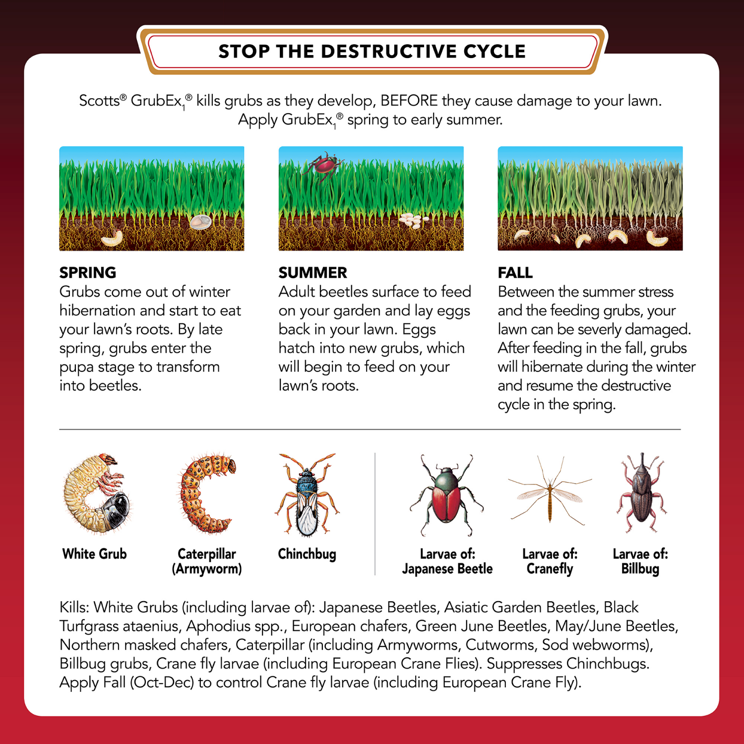 slide 4 of 4, Scotts GrubEx1 Season Long Grub Killer, 14.35 lb