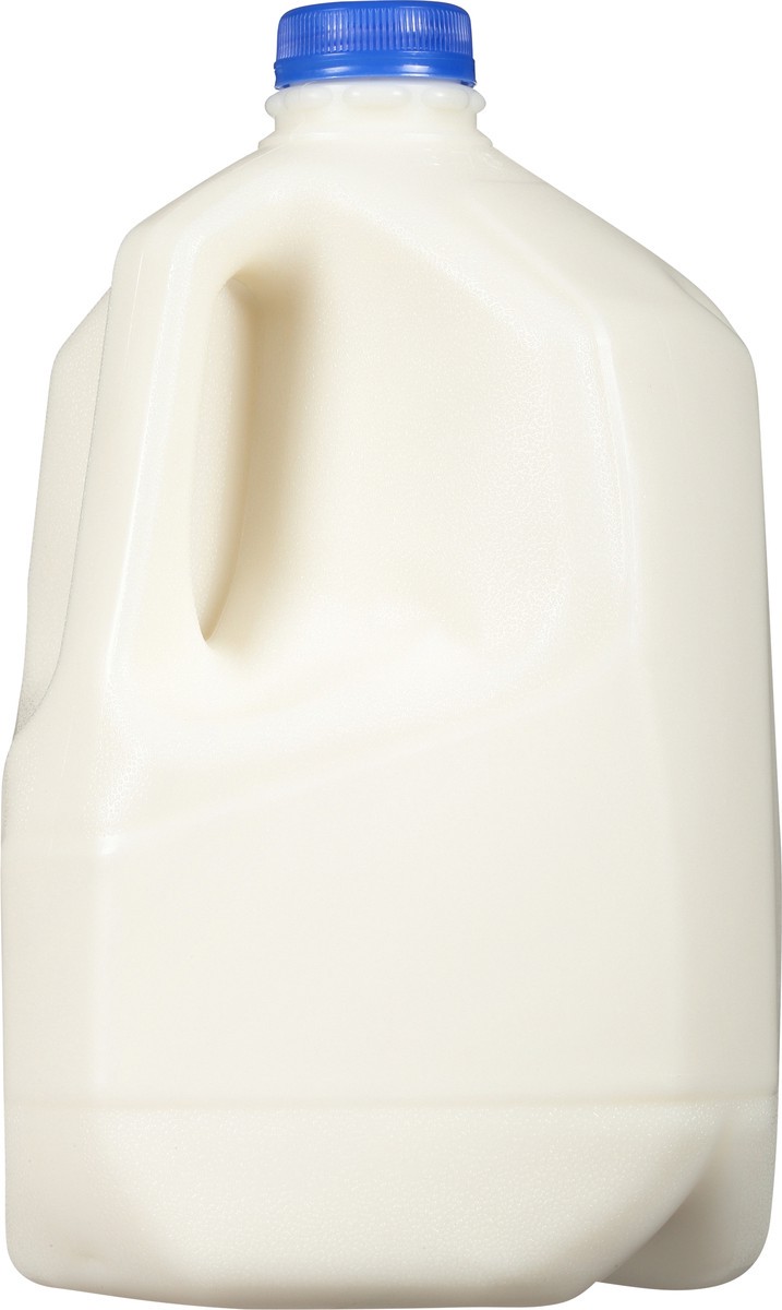 slide 7 of 14, Gandy's 2% Reduced Fat Milk 1 gal, 1 gal