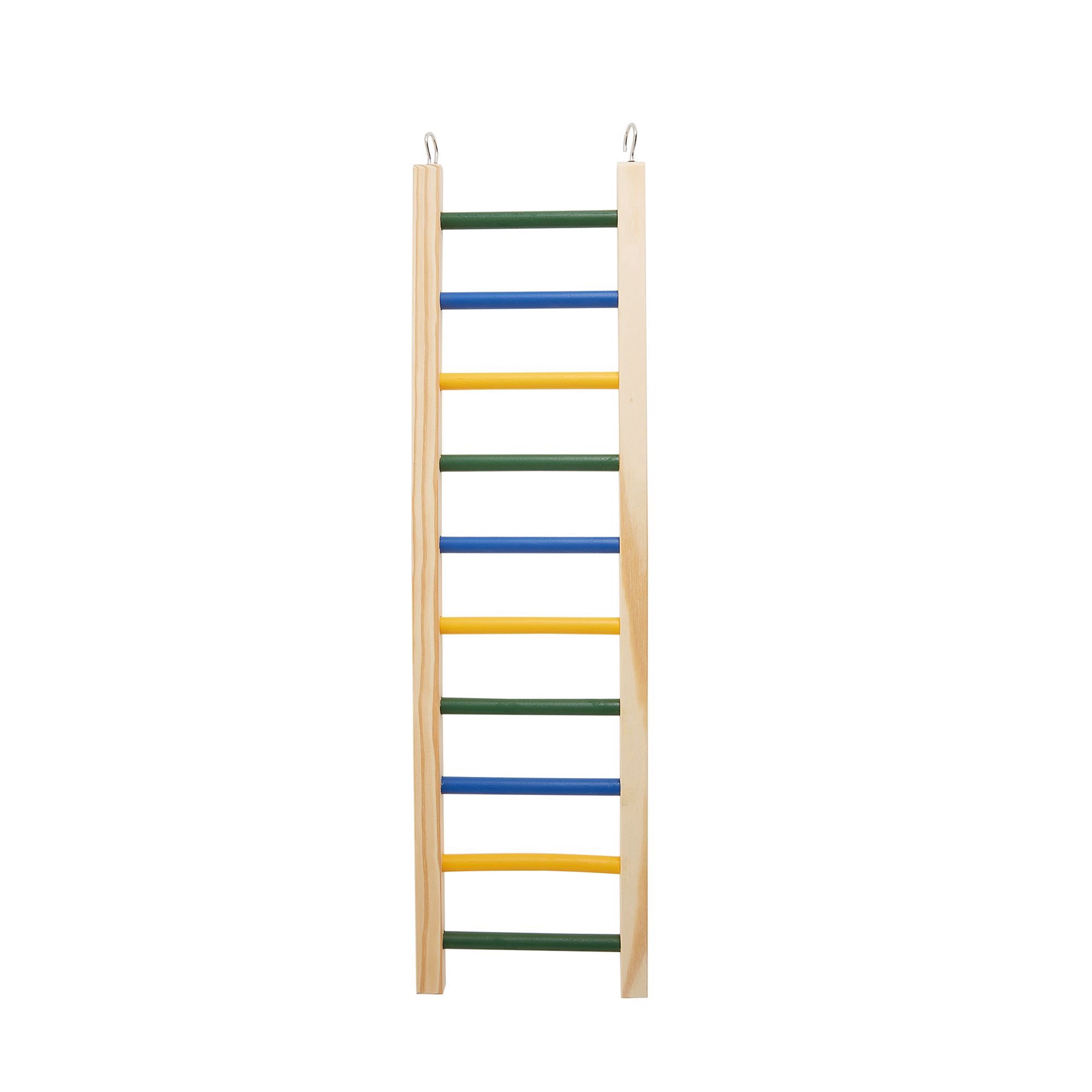 slide 1 of 1, All Living Things Natural Ladder, LG