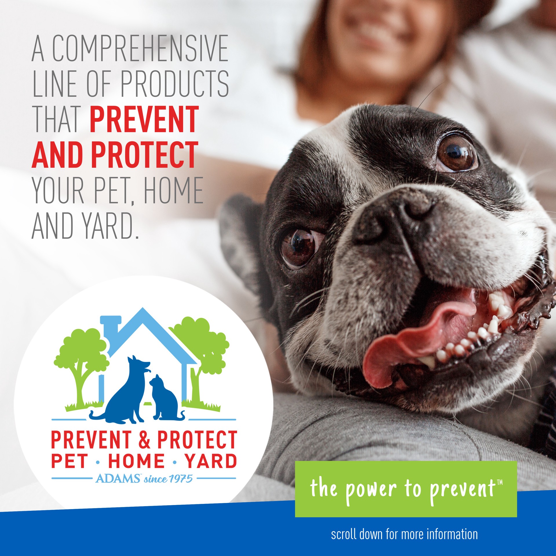 slide 9 of 9, Adams Plus Flea & Tick Prevention Spot On for Dogs, Large Dogs 31 to 60 lbs, 1 ct