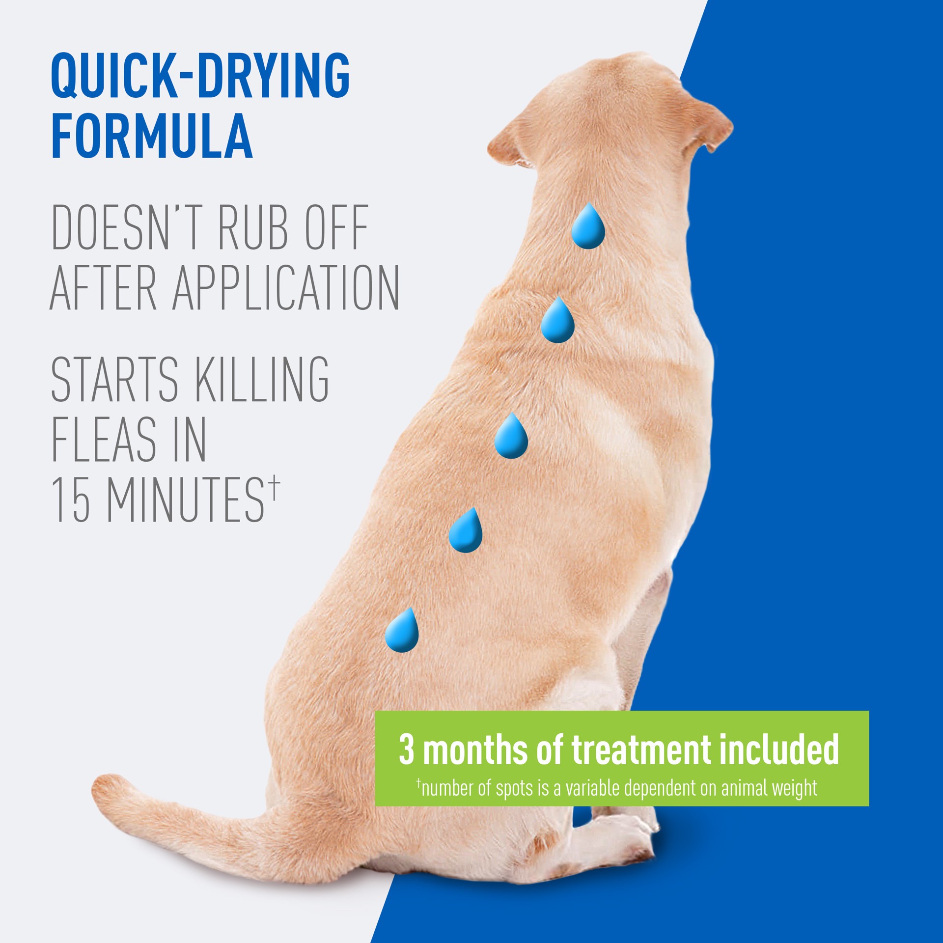 slide 4 of 9, Adams Plus Flea & Tick Prevention Spot On for Dogs, Large Dogs 31 to 60 lbs, 1 ct