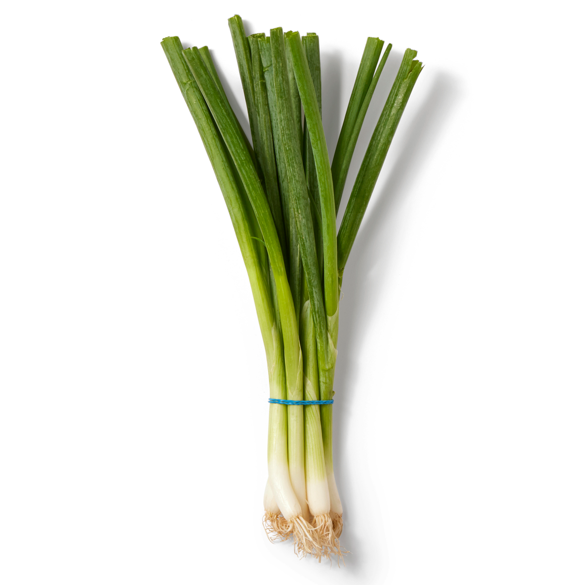 slide 1 of 5, Organic Green Onions, bunch, 1 ct