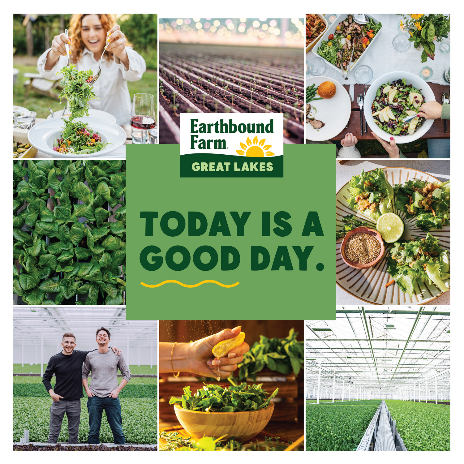 slide 3 of 4, Earthbound Farm Organic Power Greens, 16 oz