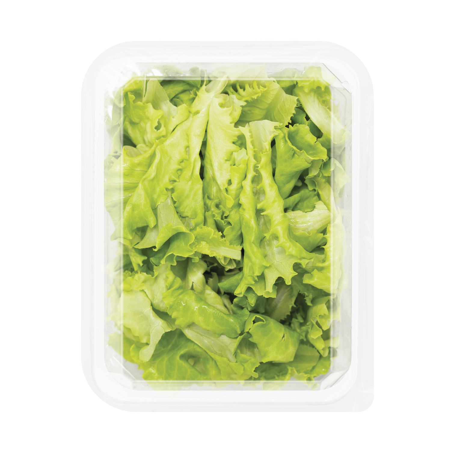 slide 2 of 2, Earthbound Farm® Greenhouse Butter Lettuce, 4 oz