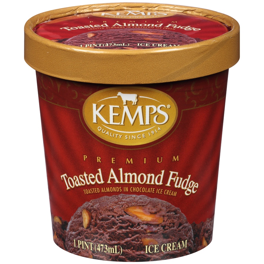 slide 1 of 1, Kemps Toasted Almond Fudge Premium Ice Cream, 1 pint