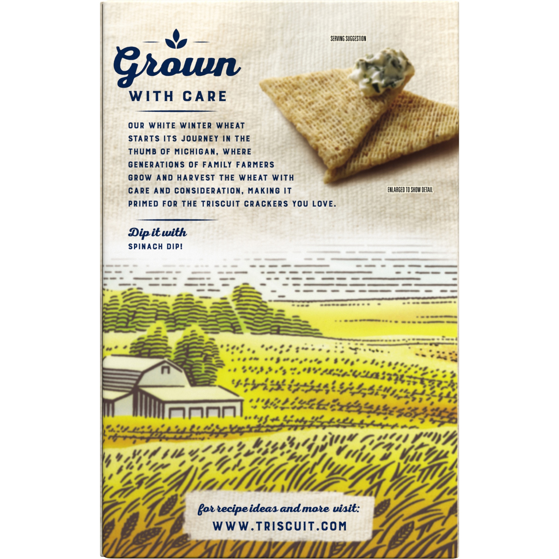 slide 6 of 8, Triscuit Thin Crisps Parmesan Garlic Whole Grain Wheat Crackers, 7.1 oz, 7.1 oz