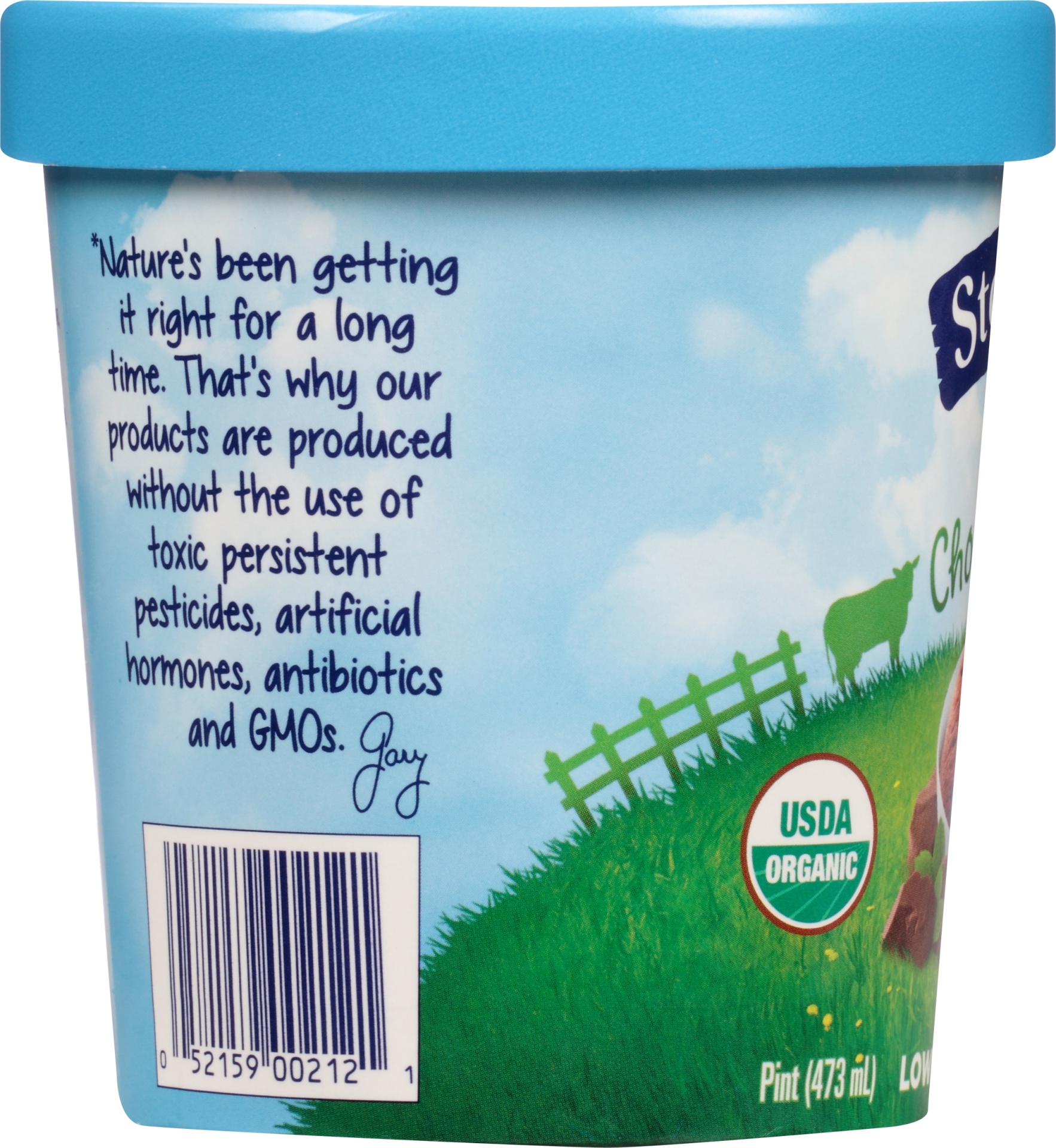 slide 2 of 6, Stonyfield Farm Organic Frozen Yogurt Low-Fat Minty Chocolate Chip, 16 oz