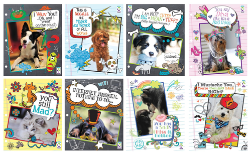 slide 1 of 1, Gdds Scribble Pets Portfolio, 1 ct