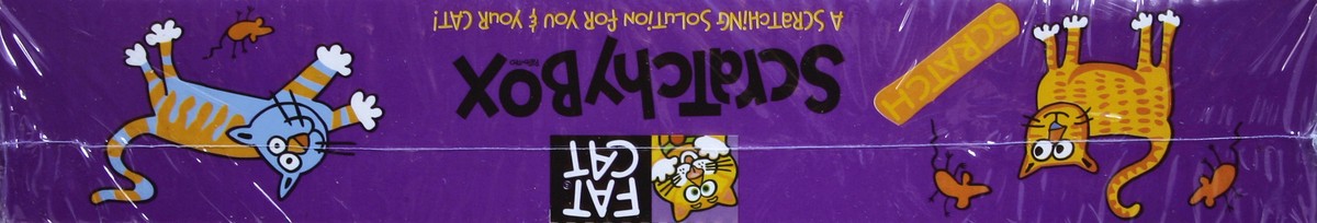 slide 4 of 4, Fat Cat Scratchy Box 1 ea, 1 ct
