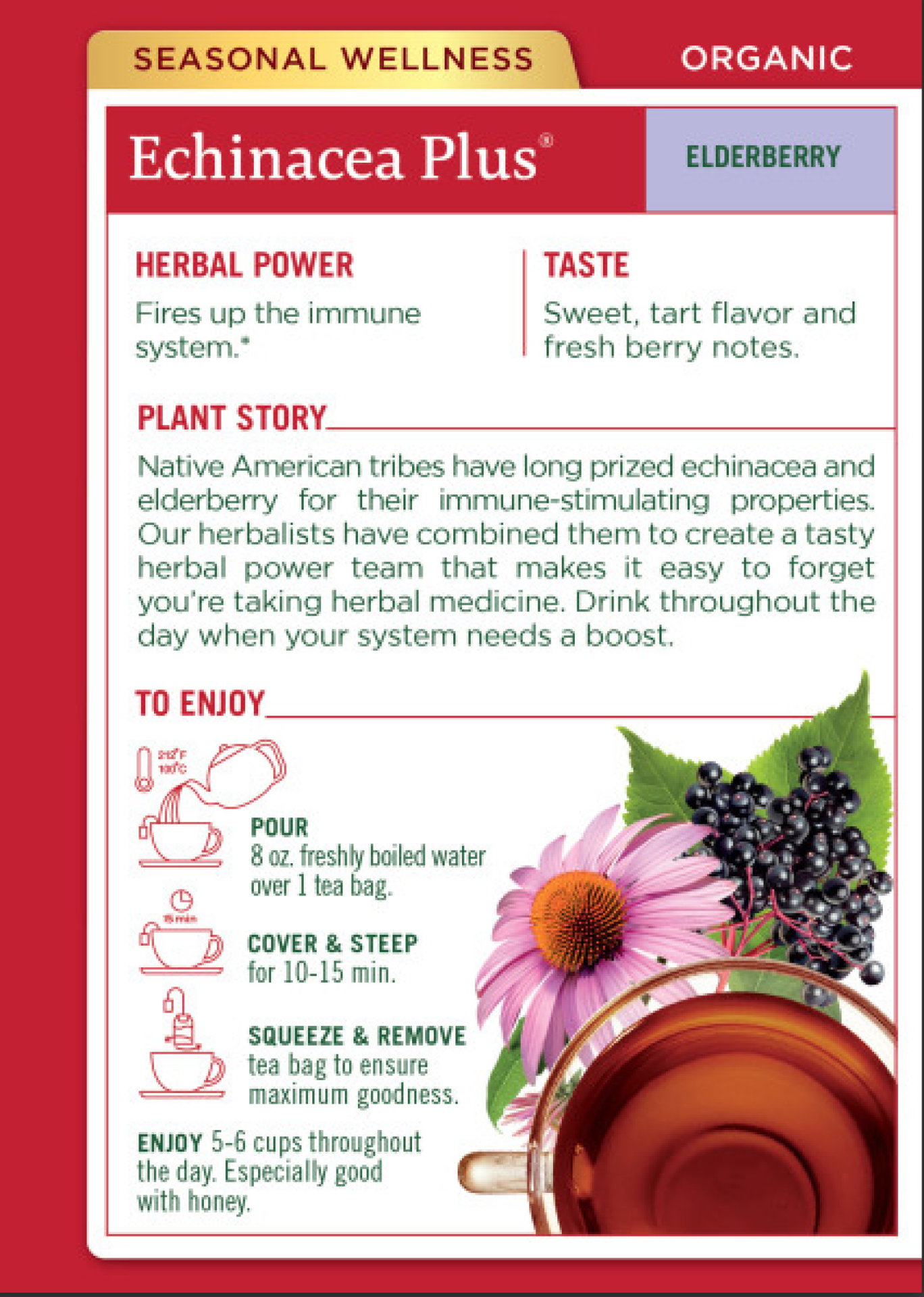 slide 2 of 3, Traditional Medicinals Organic Echinacea Plus Elderberry Caffeine Free Herbal Tea, 16 ct