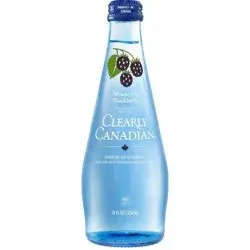 Clearly Canadian Sparkling Water Beverage 325 ml