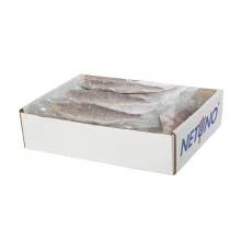 Netuno Snapper Fillet - 8-10 oz, 10 lb
