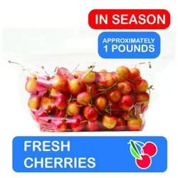 Fresh Rainier Cherries in Bag