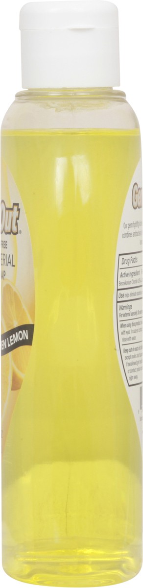 slide 4 of 12, GermOut Antibacterial Kitchen Lemon Hand Soap 11 fl oz, 11 fl oz