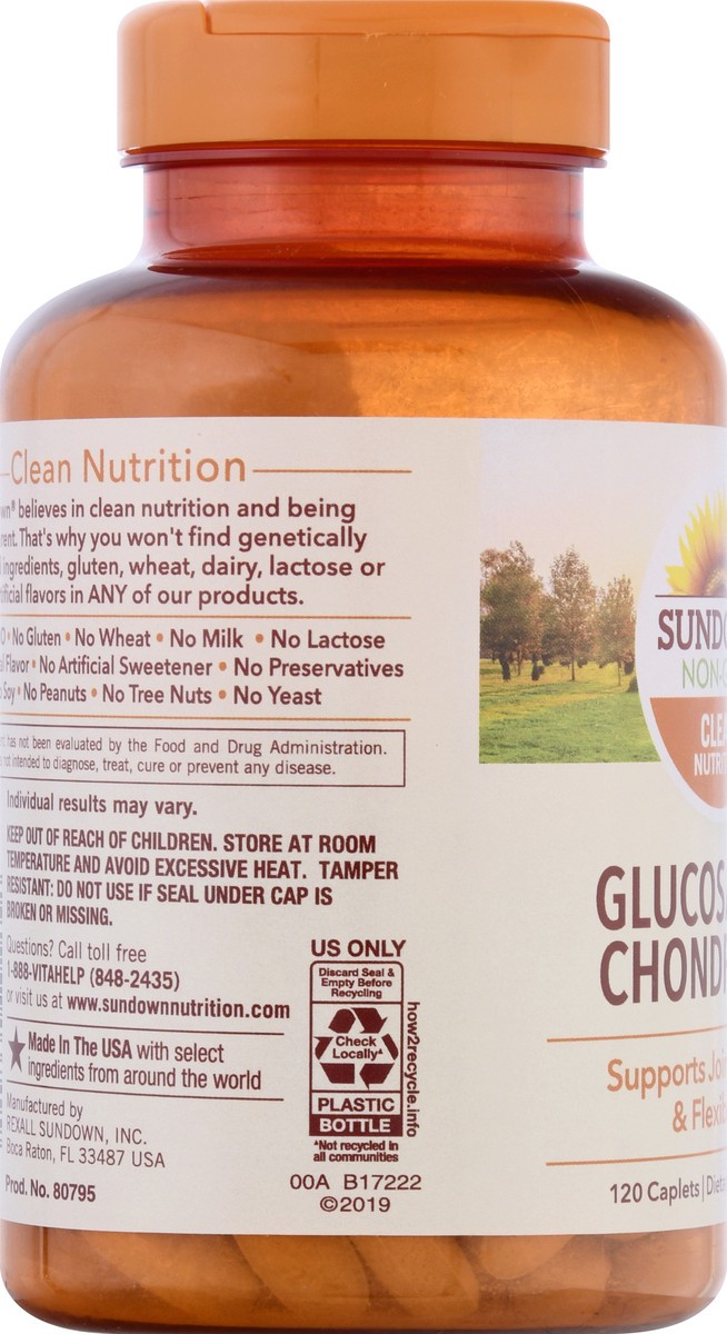 slide 4 of 9, Sundown Non-GMO Caplets Glucosamine Chondroitin 120 ea, 120 ct