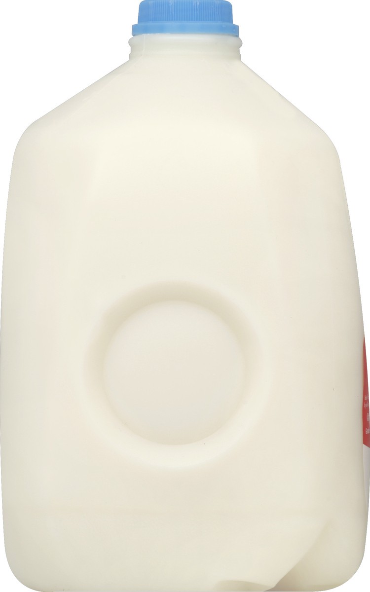 slide 2 of 4, Horizon Organic Fat-Free Milk, 1 gal