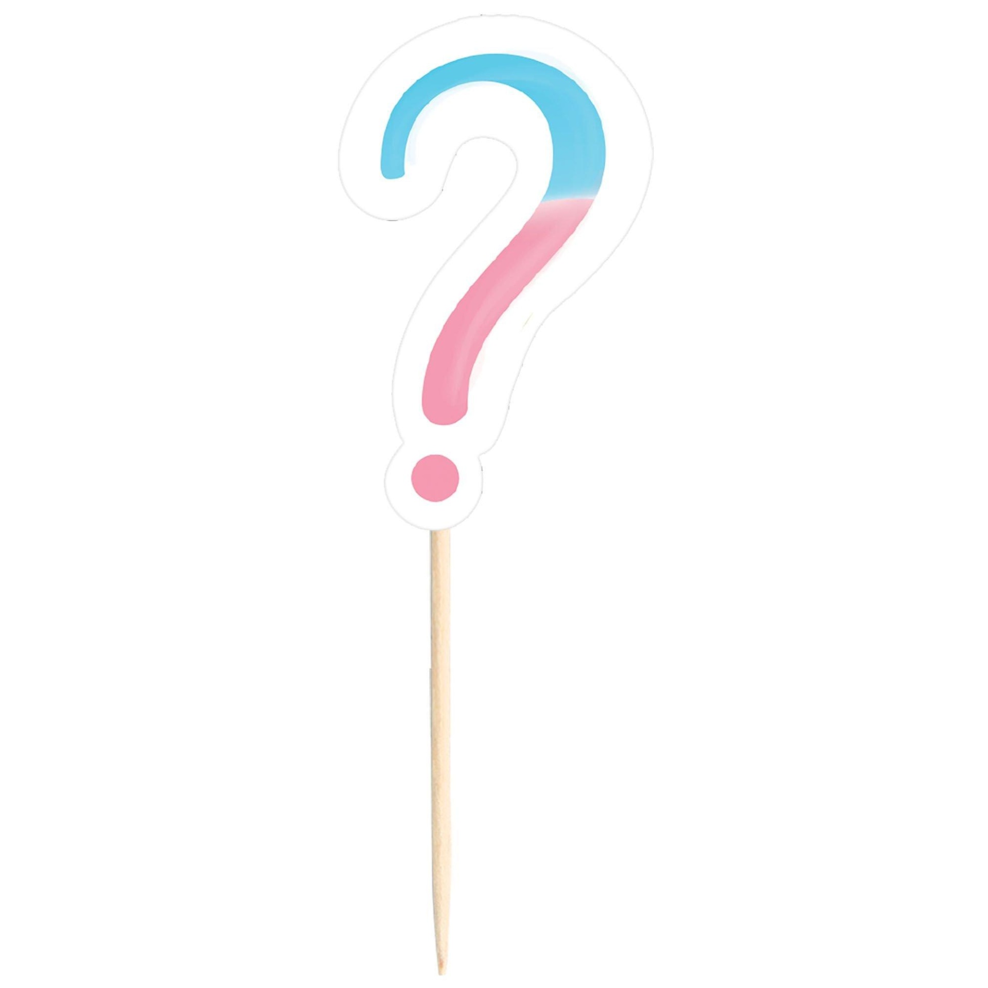 slide 1 of 1, Party City Pink & Blue Question Mark Party Picks Gender Reveal, 24 ct