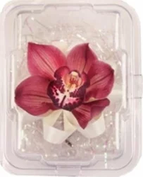 Single Orchid Corsage