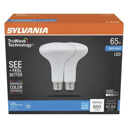 Sylvania LED Flood Bulbs