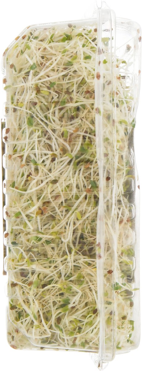 slide 7 of 9, Jonathan's Sprouts Org Alfalfa Sprouts, 1 ct