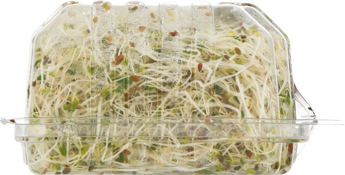 slide 9 of 9, Jonathan's Sprouts Org Alfalfa Sprouts, 1 ct